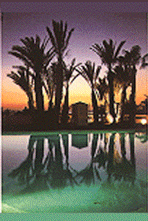 scenes from MOROCCO